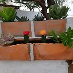 Tilama